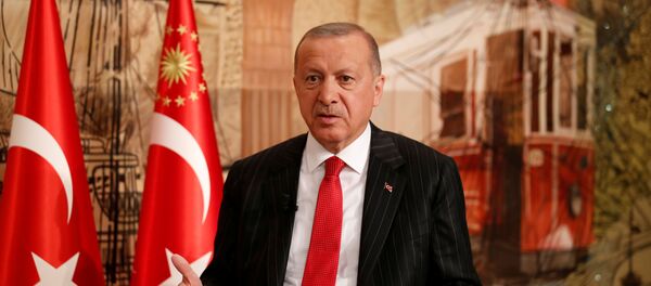 Cumhurbaşkanı Recep Tayyip Erdoğan - Sputnik Türkiye