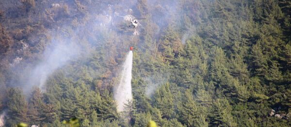 Orman yangınları - Sputnik Türkiye