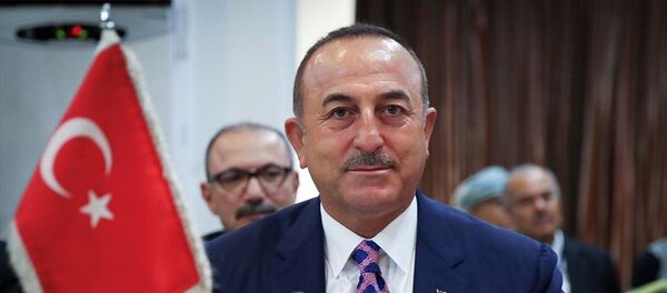 Mevlüt Çavuşoğlu Mevlüt Çavuşoğlu - Sputnik Türkiye