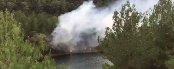 Samsun’un Bafra ilçesinde sorumsuz piknikçiler ormanlık alanda yangın çıkardı - Sputnik Türkiye