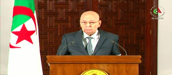 Cezayir geçici Cumhurbaşkanı Abdulkadir bin Salih - Sputnik Türkiye