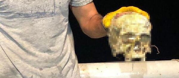 Akdeniz Üniversitesi Su Ürünleri Fakültesi tarafından her ay yapılan dip trol örneklemesi çalışması sırasında trol ağlarına takılan insan kafatası, Sahil Güvenlik Komutanlığı'na teslim edildi. - Sputnik Türkiye