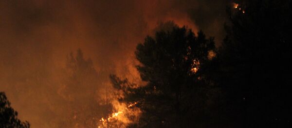 Hatay, orman yangını - Sputnik Türkiye