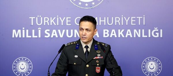 Tamer Zincir - Sputnik Türkiye