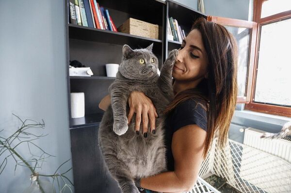Obez kedi Shanti, koşu bandı ve pilates ile 4.5 kilo verdi - Sputnik Türkiye