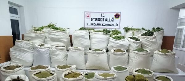 Diyarbakır'da terör örgütü PKK'ya yönelik operasyonda, 955 kilo 150 gram esrar ve 6 milyon 718 bin 750 kök Hint keneviri ele geçirildi. - Sputnik Türkiye