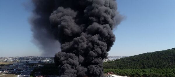 Tuzla'da kimyasal maddelerin üretildiği fabrikada çıkan yangın - Sputnik Türkiye