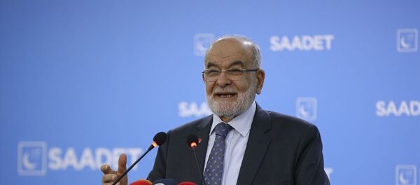 Temel Karamollaoğlu - Sputnik Türkiye