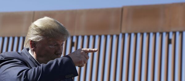 Donald Trump, Kaliforniya - Sputnik Türkiye