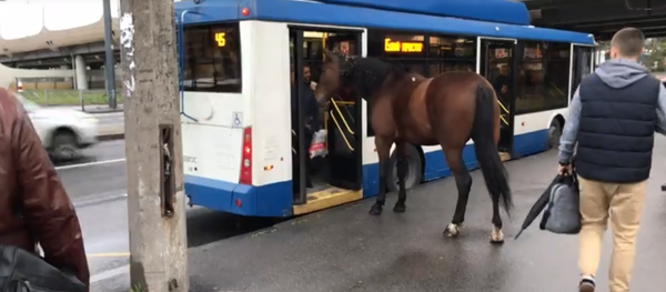 Rusya - at - Sputnik Türkiye