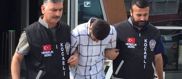 Televizyon çalan hırsız - Sputnik Türkiye