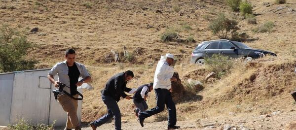 Verimli arı sezonuna teşekkür için 'şükür duasına' çıkanlar, arıların saldırısına uğradı - Sputnik Türkiye