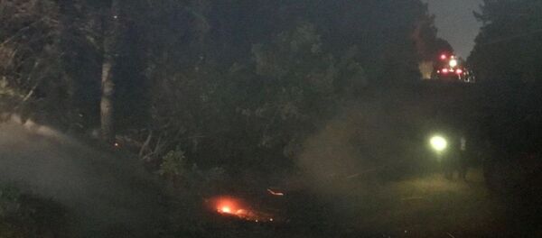 Ümraniye, ormanlık alan, yangın Ümraniye, ormanlık alan, yangın - Sputnik Türkiye