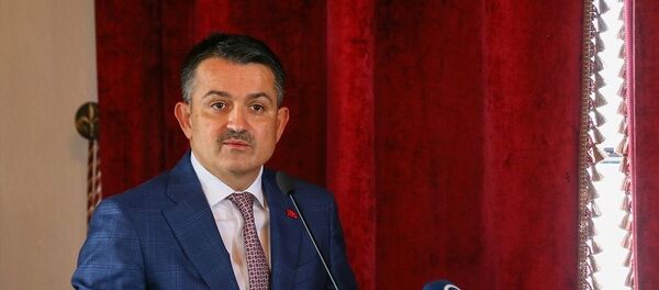 Bekir Pakdemirli - Sputnik Türkiye