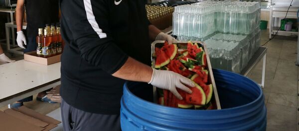 Ekşi sirkeye alternatif, tatlı karpuz ve kavun sirkesi - Sputnik Türkiye