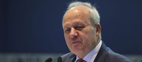 Nurettin Özdebir - Sputnik Türkiye