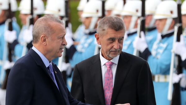 Recep Tayyip Erdoğan - Andrej Babis - Sputnik Türkiye