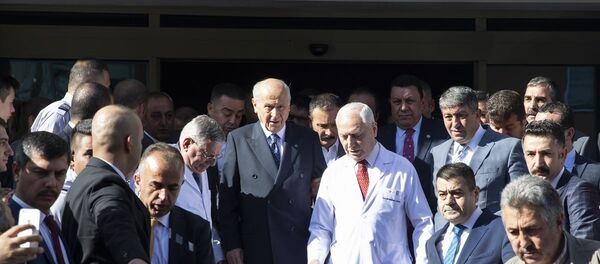 Devlet Bahçeli - Sputnik Türkiye