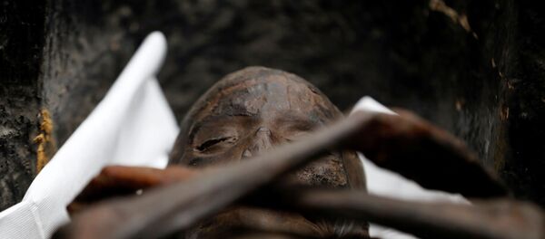 Antik Mısır’da Yeni Krallık döneminde yaşayan üst düzey görevli Sennedjem ve eşine ait olduğu düşünülen, çok iyi korunmuş durumda bulunan mumyalar Kahire’de Mısır Medeniyetleri Ulusal Müzesi’nde görücüye çıktı. - Sputnik Türkiye