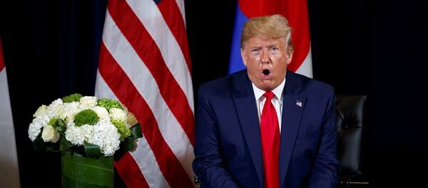 Donald Trump - Sputnik Türkiye