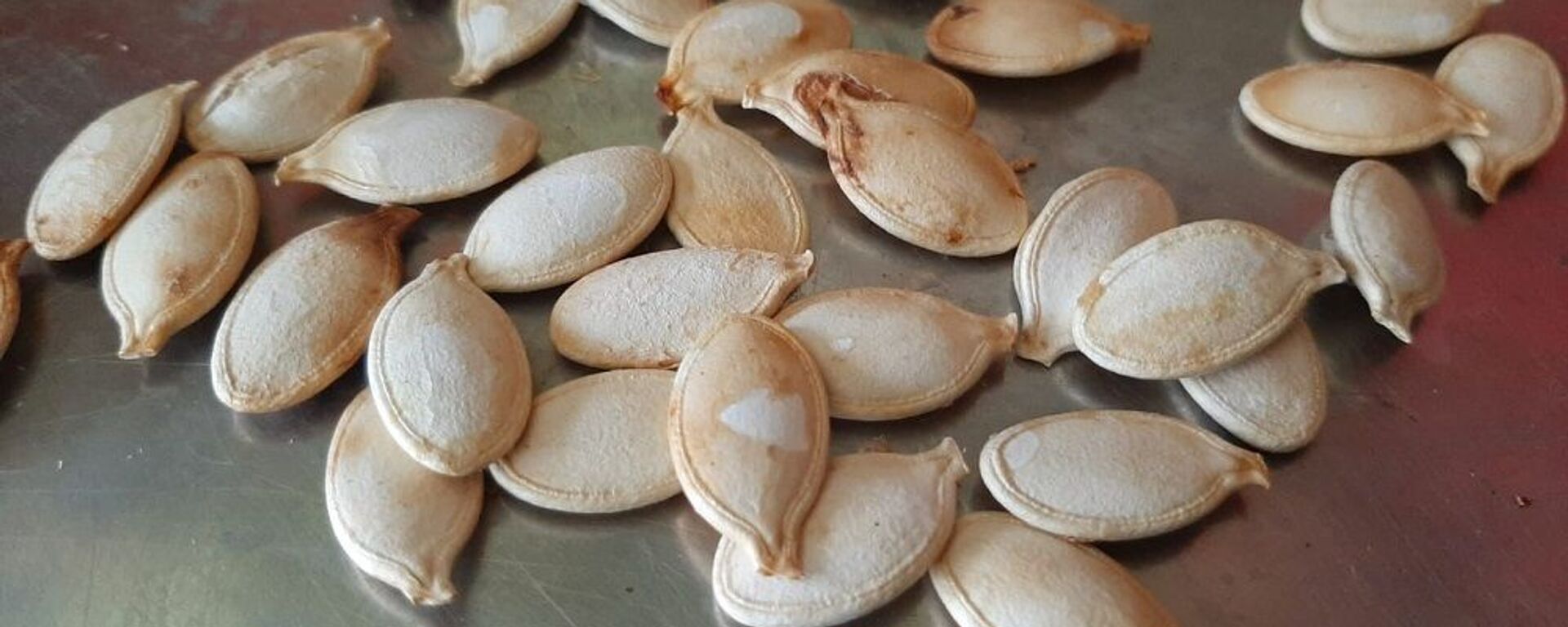 Kabak çekirdeği - Sputnik Türkiye, 1920, 05.12.2025