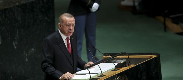 Recep Tayyip Erdoğan - Sputnik Türkiye