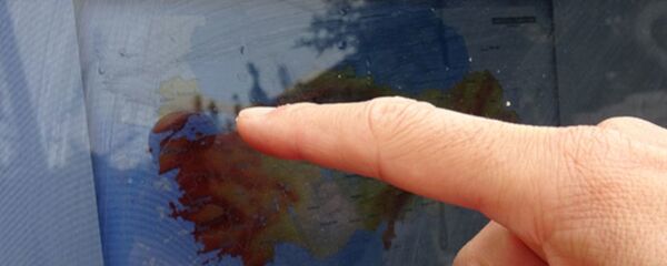 Marmara depremi - Sputnik Türkiye