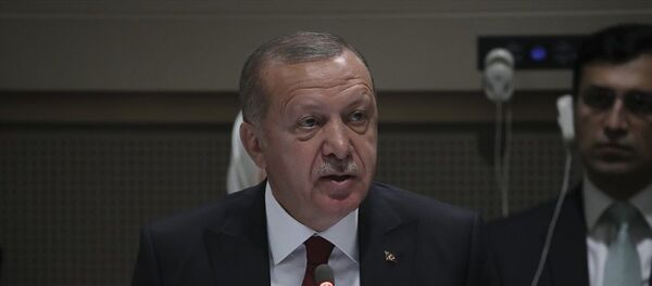 Recep Tayyip Erdoğan, ABD - Sputnik Türkiye