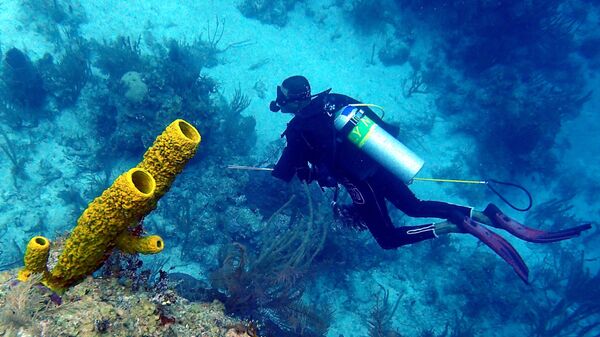Dünya Denizcilik Günü - Sputnik Türkiye