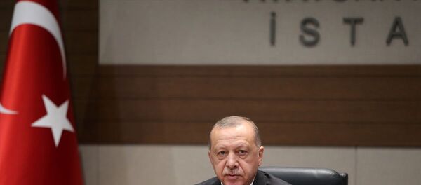 Recep Tayyip Erdoğan - Sputnik Türkiye