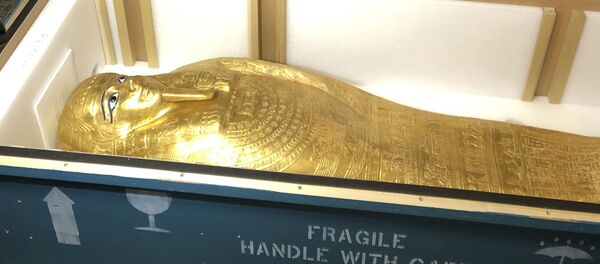 ABD, çalıntı olduğu ortaya çıkan 2100 yıllık Nedjemankh tabutunu anavatanı Mısır’a iade etti. - Sputnik Türkiye