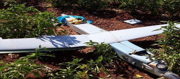 Türk Hava Sahası'nı ihlal eden İHA düşürüldü - Sputnik Türkiye