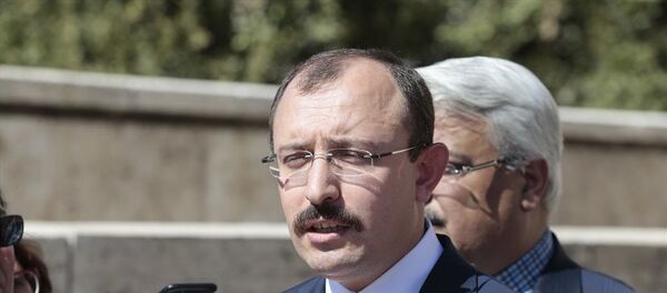 Mehmet Muş - Sputnik Türkiye