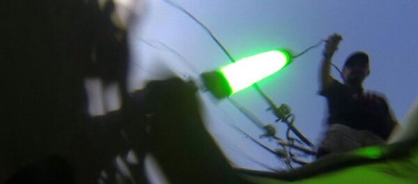 Balıkçılık Balıkçılık - Sputnik Türkiye