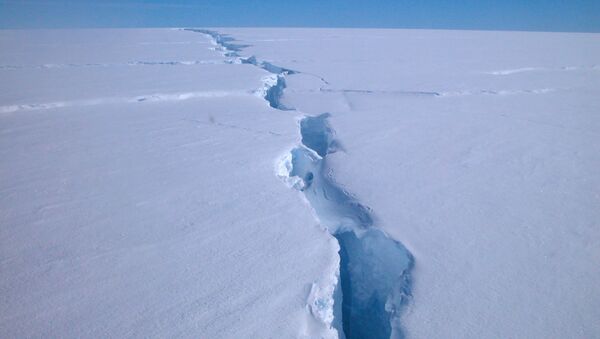 Antarktika Amery sahanlığı buz kütlesi - Sputnik Türkiye