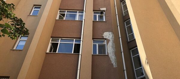 İstanbul Üniversitesi Veteriner Fakültesi  - Sputnik Türkiye