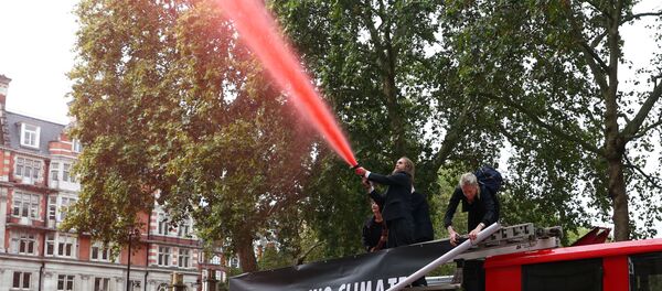 İngiltere iklim eylemi - Sputnik Türkiye