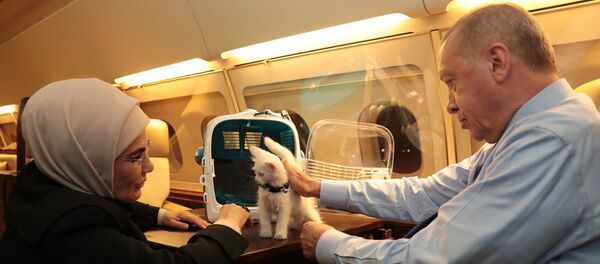 Recep Tayyip Erdoğan - Emine Erdoğan - Sputnik Türkiye