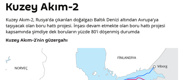 İnfografik - Sputnik Türkiye