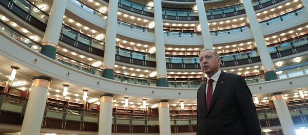 Cumhurbaşkanlığı Kütüphanesi - Sputnik Türkiye