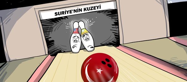 Karikatür - Sputnik Türkiye