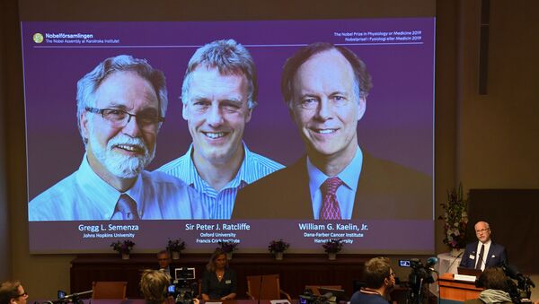 2019 Nobel Fizyoloji veya Tıp Ödülü,  William Kaelin Jr, Sir Peter Ratcliffe ve Gregg Semenza'nın oldu.  - Sputnik Türkiye