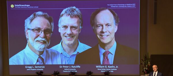 2019 Nobel Fizyoloji veya Tıp Ödülü,  William Kaelin Jr, Sir Peter Ratcliffe ve Gregg Semenza'nın oldu.  - Sputnik Türkiye