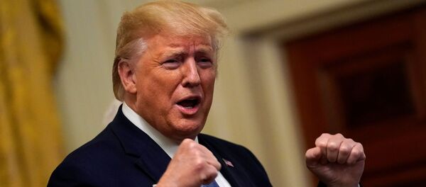 Donald Trump, Beyaz Saray'da Genç Siyah Liderlik Zirvesi'ni ağırlarken - Sputnik Türkiye