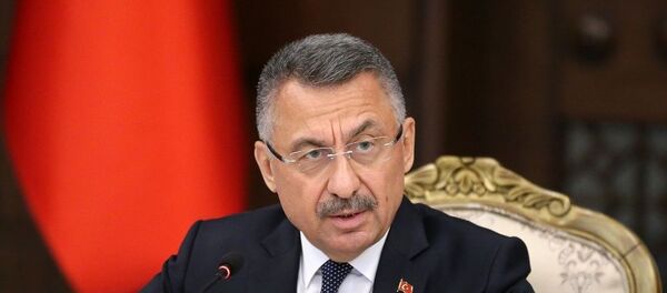 Fuat Oktay - Sputnik Türkiye