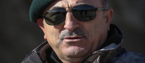 Dışişleri Bakanı Mevlüt Çavuşoğlu - Sputnik Türkiye