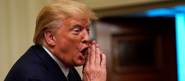 Donald Trump bir Beyaz Saray kabulünde  - Sputnik Türkiye