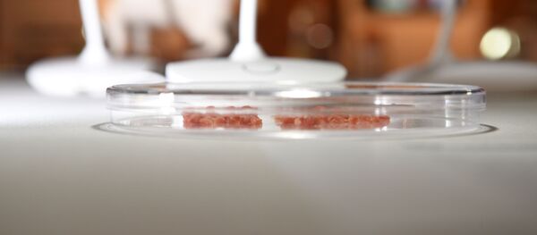 Laboratuvarda üretilmiş et - Sputnik Türkiye