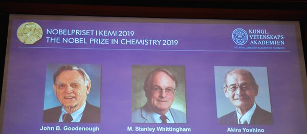 2019 Nobel Kimya Ödülü - Sputnik Türkiye