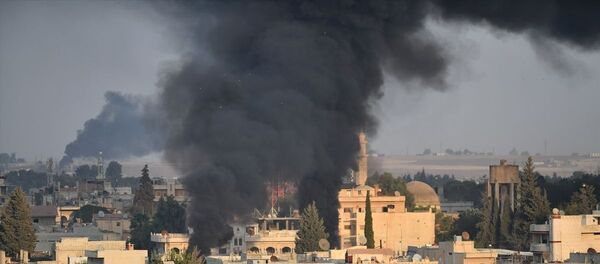 Resulayn, Barış Pınarı Harekatı - Sputnik Türkiye